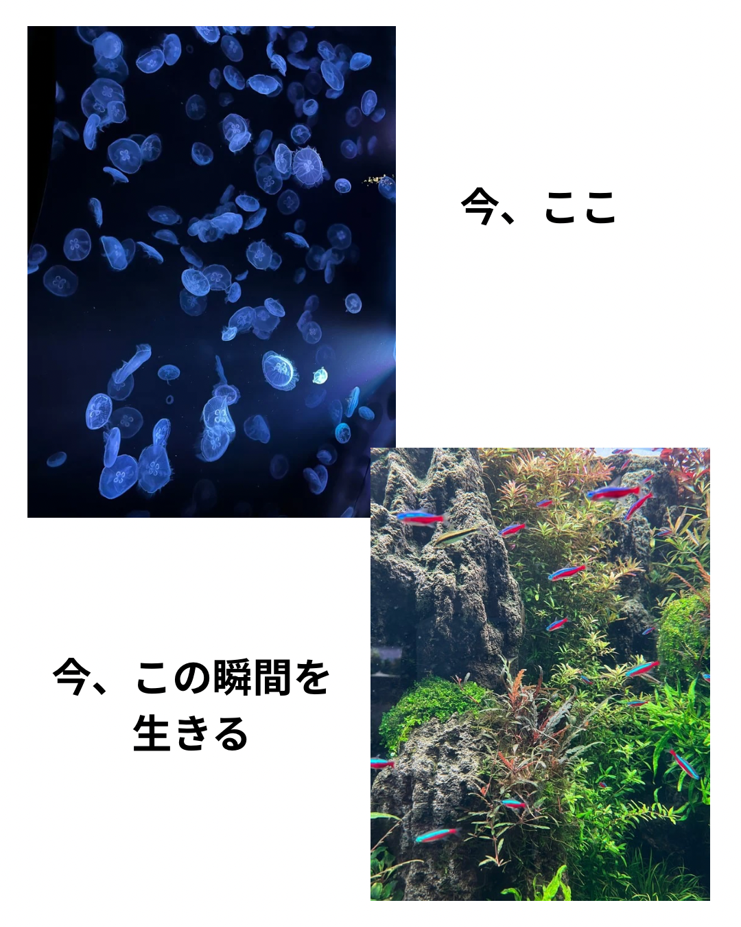 「今ここ」を感じるリンパマッサージ　北久里浜　【リンパケアサロンc-class】